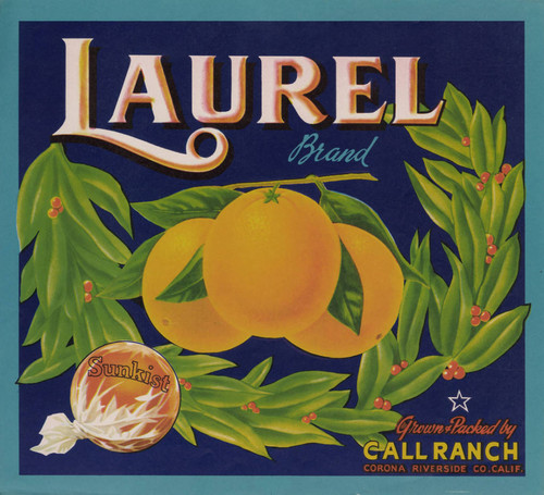 Laurel