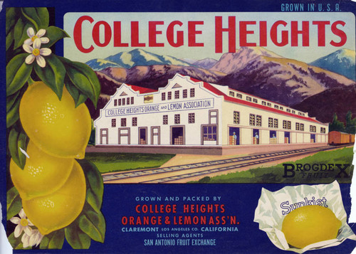 College Heights