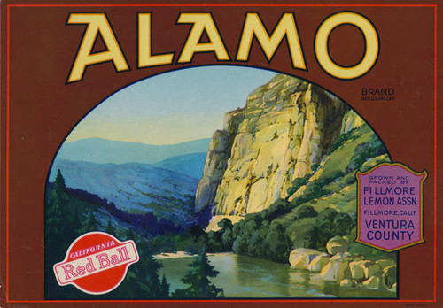 Alamo