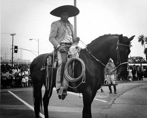 Man on horseback