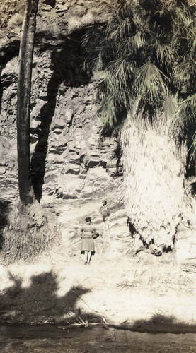 Photo of a woman at Palm Springs Canyon
