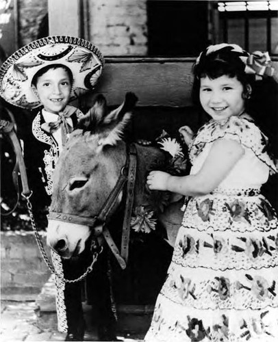 Boy and girl with donkey