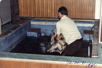 Shew S. Leong being baptized at the Chinese Assembly in Lincoln Heights Los Angeles