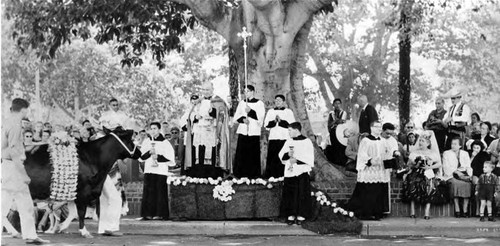 Priest on a stand blessing animals as they walk by