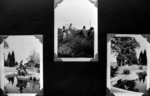 Three pictures, kids on asparagus farm