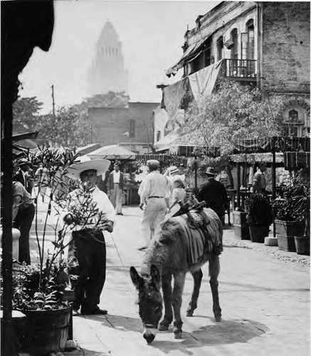 Hino Josa leading a donkey. View toward City Hall-looking at Sepulveda House, donkey on Olvera Street