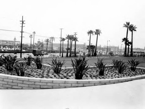 Farher Serra Park view