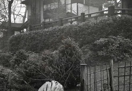 View of the house from the bottom of a hill (Spencer Chan Family)