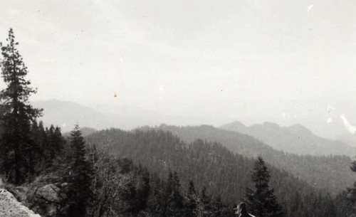 Photo of Sequoia National Park