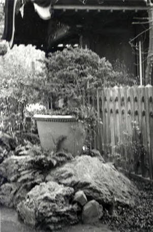 Photo of a garden (Spencer Chan Family)