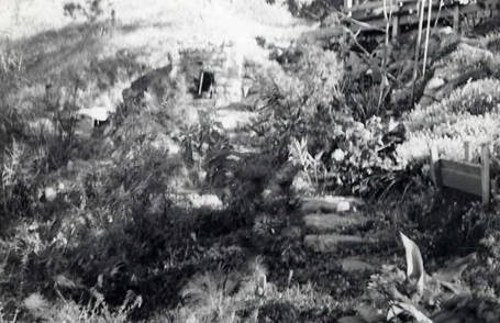 Path of stone steps leading up to a small building in the backgroud. Text on the back reads "flower garden" (Spencer Chan Family)