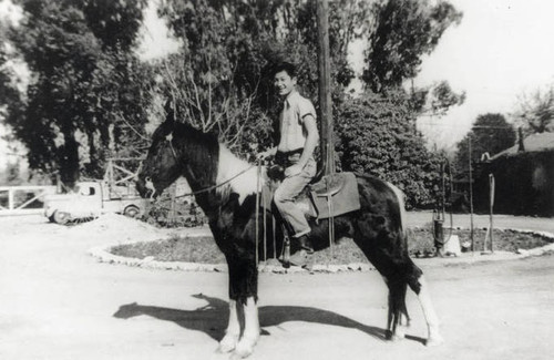 Young man riding a horse at family home in the San Fernando Valley