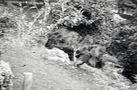 Photo of a dirt road (Spencer Chan Family)