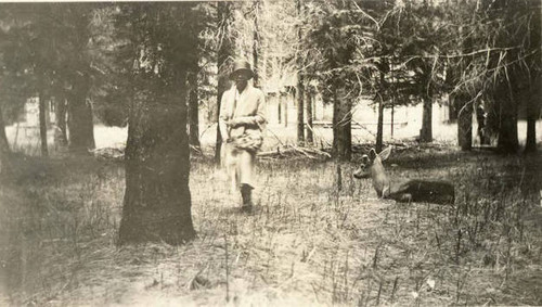 Woman walking in the forest, with a deer to her left