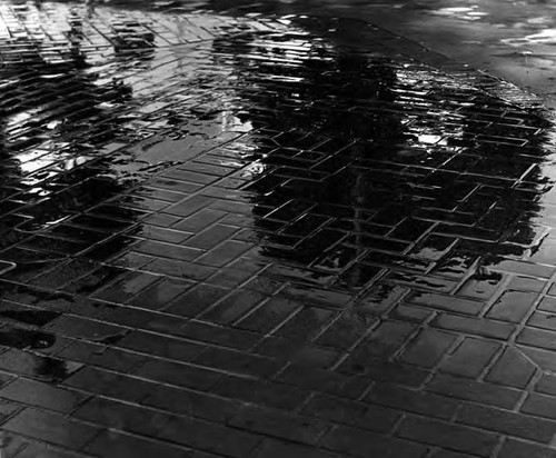 wet bricks near kiosko in the Plaza