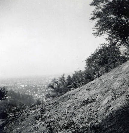 Hill overlooking a city view