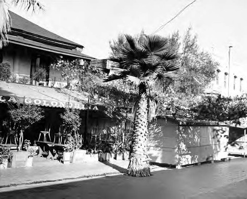 "La Golondrina" from Olvera Street