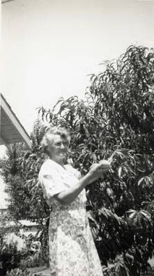 Jake Siu's mother picking fruit