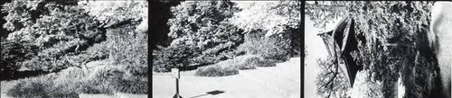 Three photos: a garden, steps, a building behind trees