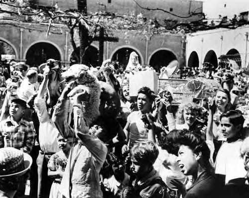 Crowds of people standing outside holding up their animals for the priest to see them and for the event to start