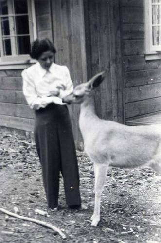 Woman feeding a deer outside of a cabin