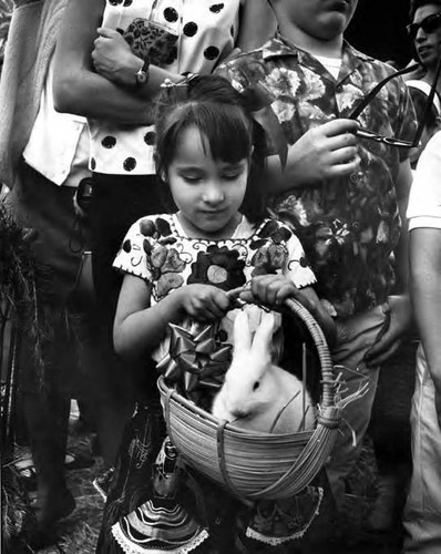Girl with rabbit in basket