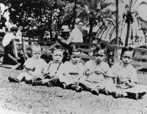Quon brothers as infants, five young boys sitting on the grass in front of benches