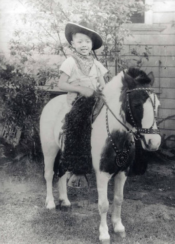 Young boy riding a pony