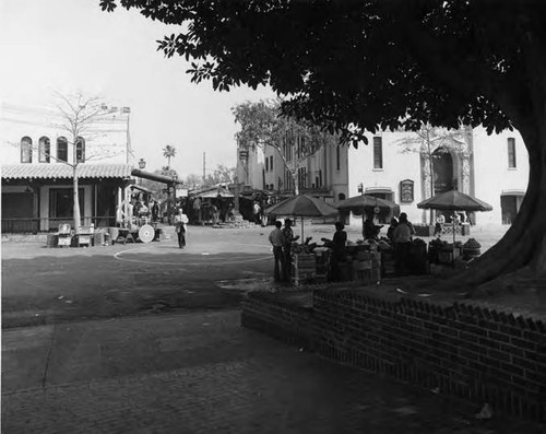 Macy Street entrance tree