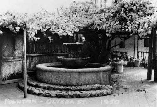 Olvera Street fountain underneath a trellis