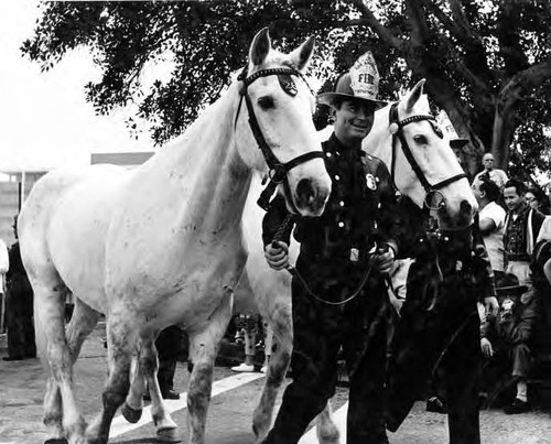 Photo of firehouse horses