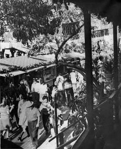 Crowd in front of Avila at Christmas time