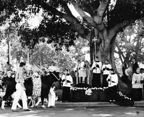 Crowds of people clebrating in the Plaza and on Olvera Street