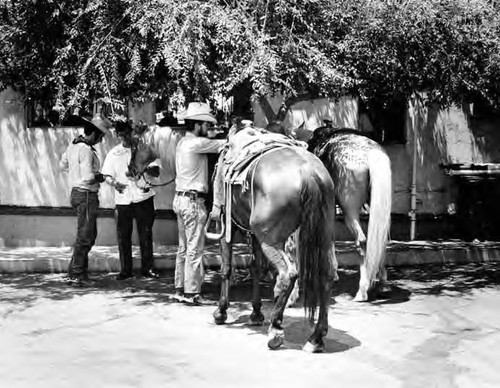 Three men and one woman in the Macy Street/Alameda Street parking lot with horses
