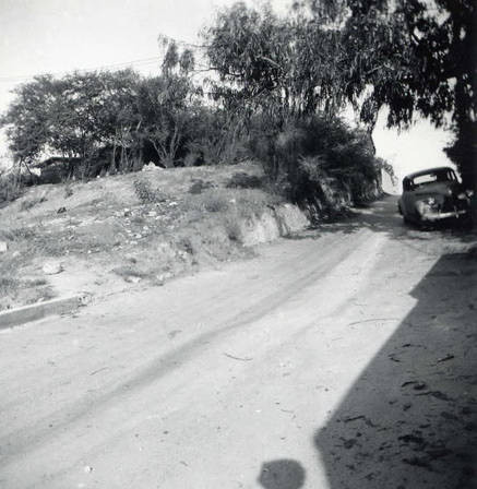 Photo of a road. On the back of the photo is says "Walcourt Way--our lot from across the way" (Spencer Chan Family)