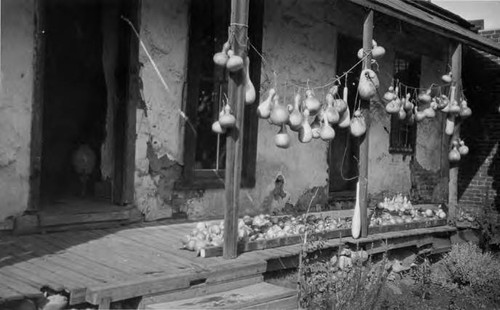 Rear of Avila adobe looking northwest; gourds are strung along posts and are sitting on porch. Adobe butts up to brick wall on north side. One of two doors is open showing a clay urn in a stand. Adobe in deteriorated condition. Wood steps lead to porch