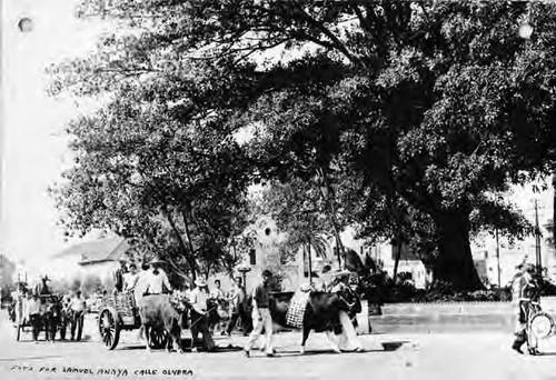 Procession by the Plaza