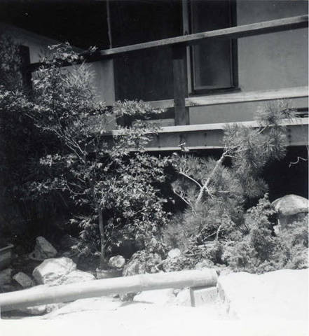 Japanese style garden with bamboo walkway built around the garden (Spencer Chan Family)