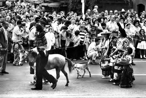 Men, women and children with goat and pony