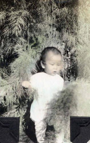 Baby Roger in trees