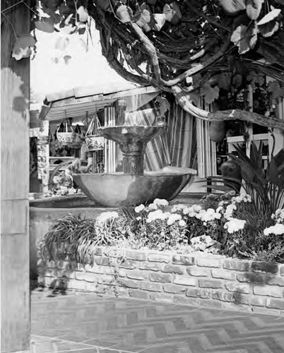 Fountain and flowers