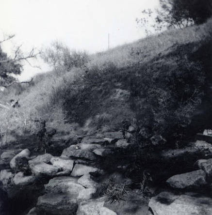 Photo of a landscape on the back of which it reads "flower garden" (Spencer Chan Family)