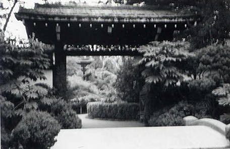 Blurry view of the entrance to a garden (Spencer Chan Family)