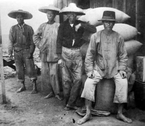 Chinese workers replace the Indians as the chief manual labor in South California agriculture, They were in turn replaced by the Japanese after the passage of the Chinese Exclusion Acts in 1882 and 1892. From Los Angeles A City Apart: An Illustrated History by David L. Clark