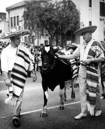 Two men with a cow in Blessing of the Animals procession