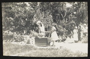 Alice in Wonderland (6)