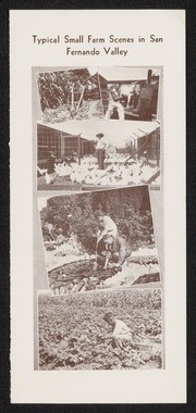 Typical Small Farm in San Fernando Valley Sheet