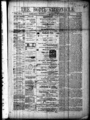 The Bodie Chronicle 1879-11-22