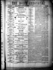 The Bodie Chronicle 1880-03-10