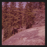 View from top of the Devils Postpile, 08-1965